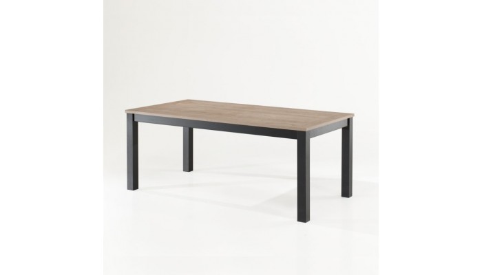 ESTHER - Table rectangulaire fixe 180cm x 100cm