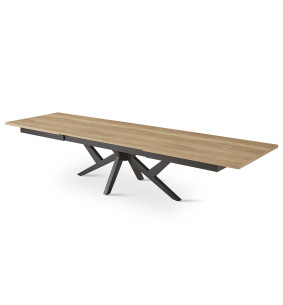 XXL - Table de séjour extensible  2